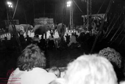 Circus at the Ynys Fields