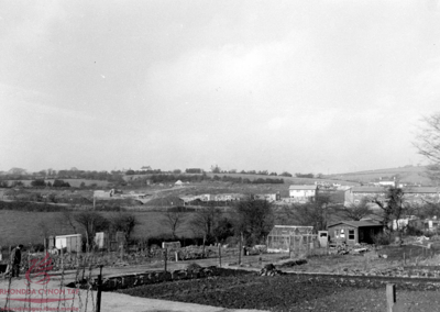 Allotments and development along St Illtyd's Road