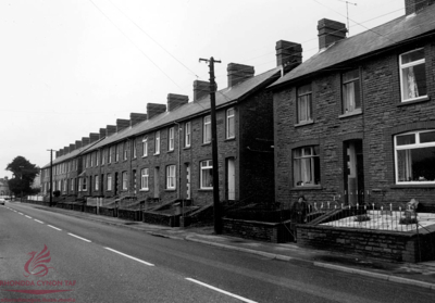Llest Terrace, March 1977